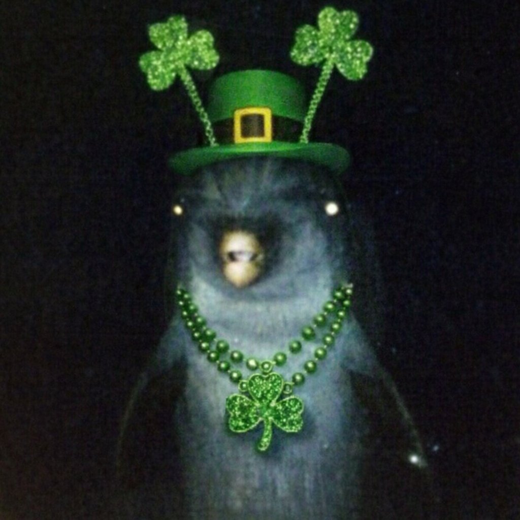 <a href="/greg16676935420/">greg</a> be careful Greg, you don't wanna blackout and end up with Gerald tonight