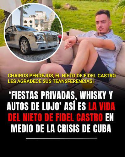 josexebex tweet media