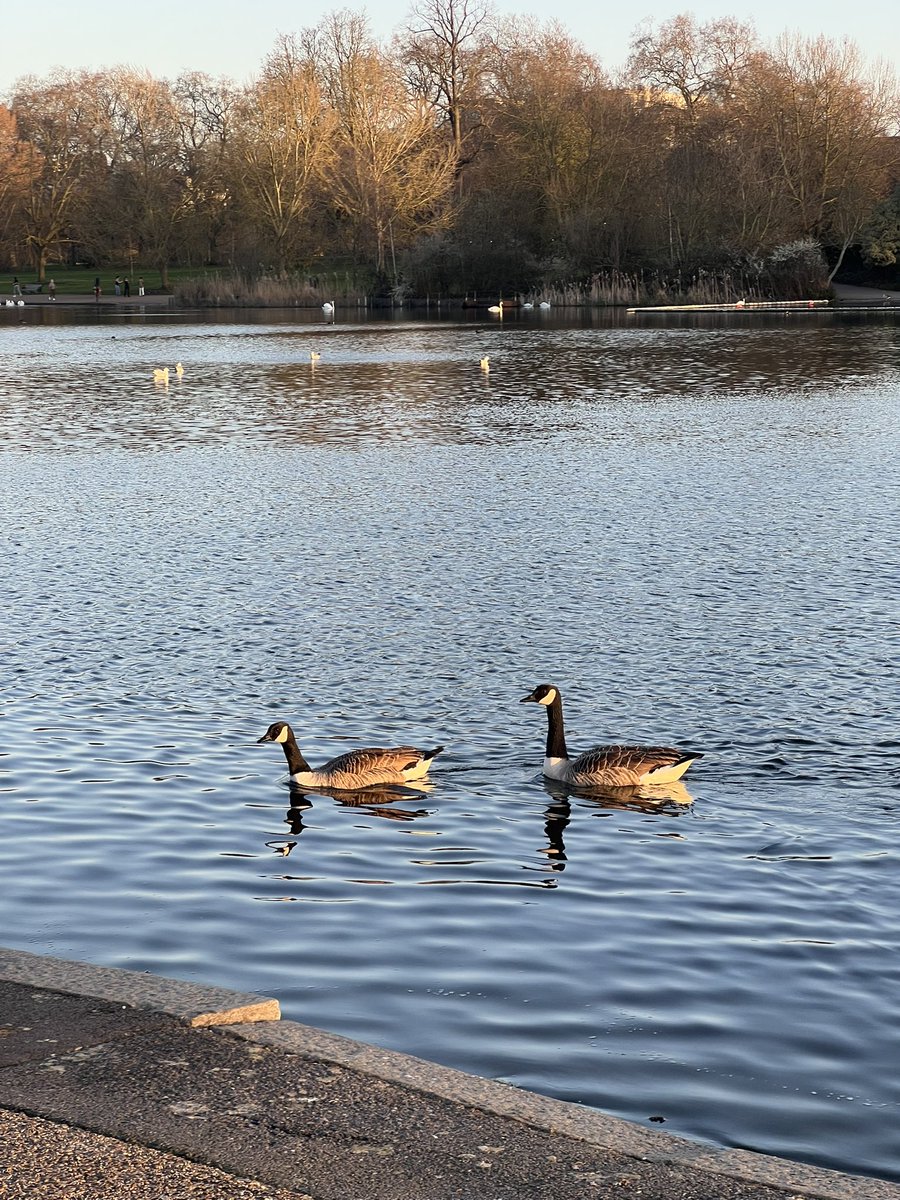 Charles House tweet media