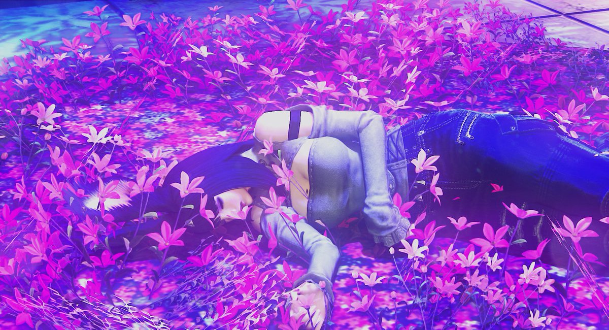 Chipi(杏) tweet media