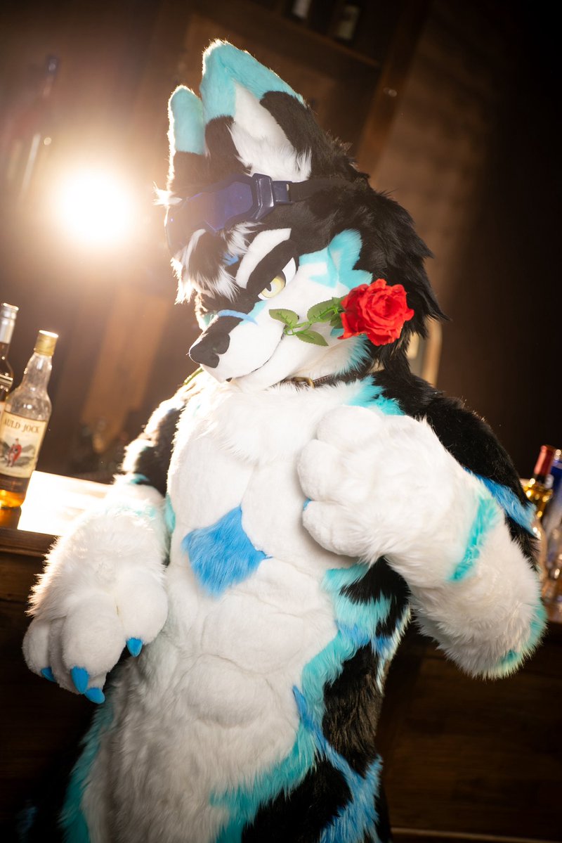 きらもふ✨️ tweet media