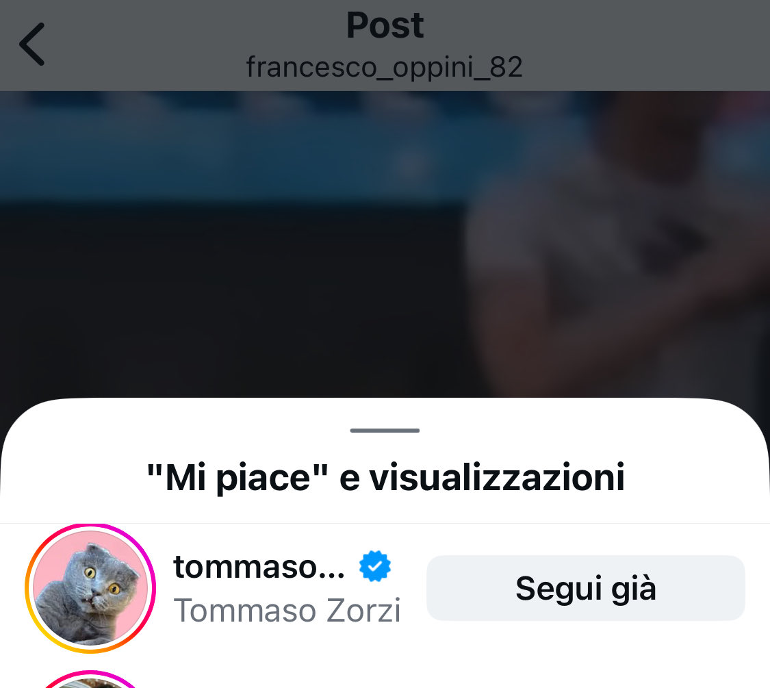 Non so: meglio Francesco che pubblica un video commovente del ‘nostro’ GF in cui metà delle scene sono con T. oppure Tommy che gli mette ❤️? Nel dubbio mi commuovo ancora e sempre 🥹