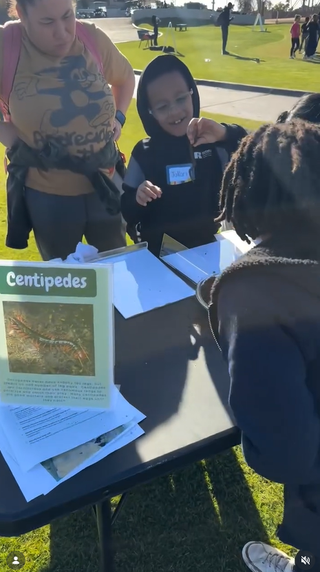 First Green tweet media