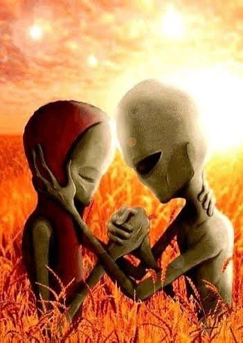 ۶ৎ KITTY ₍⸍⸌̣ʷ̣̫⸍̣⸌₎ tweet media