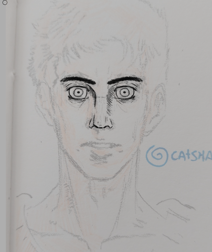 the catshake tweet media