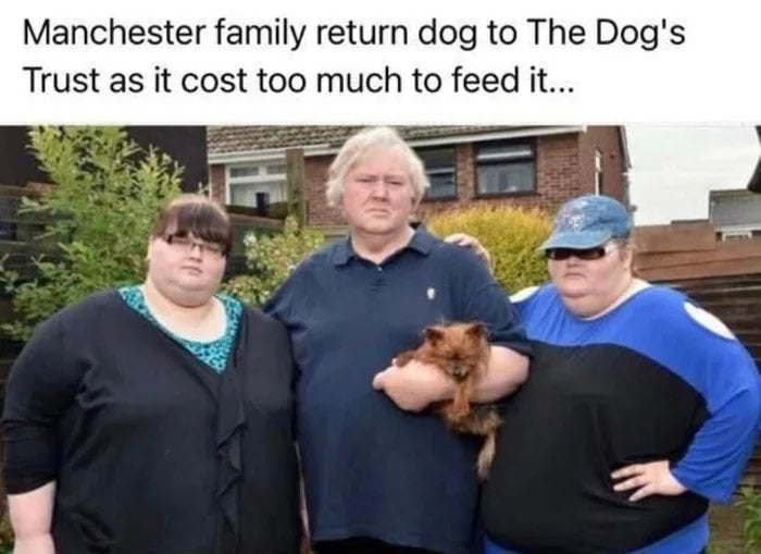 Josef | Fit Dad 🥩 tweet media