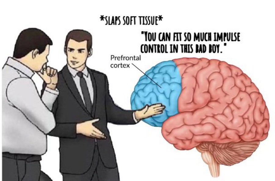 👈🏻🚨WTF is that there!? 🚫🕋✡️🦉😈🪐 tweet media