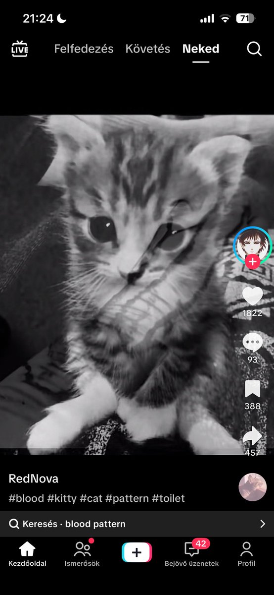 Catty_Meowmh's tweet photo. what the fuck https://t.co/B6BwLiT1Ik