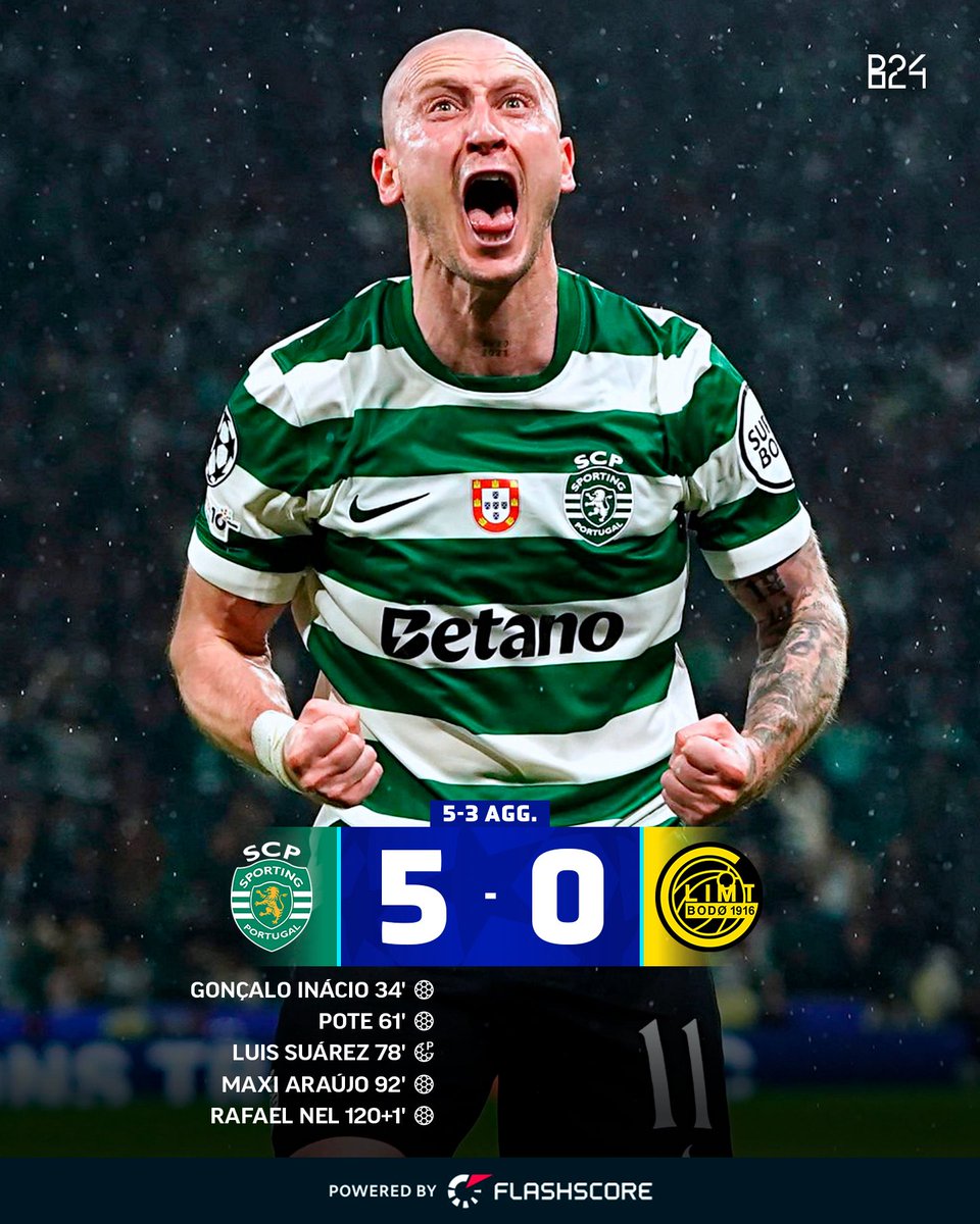 Nunomel 🦁🇺🇸 tweet media