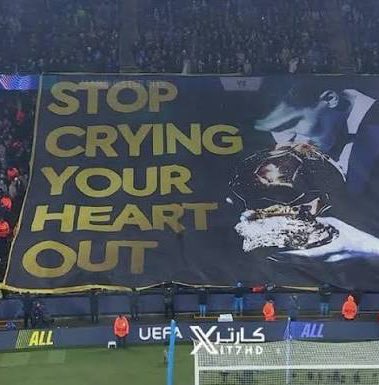 Mehedi Hassan tweet media