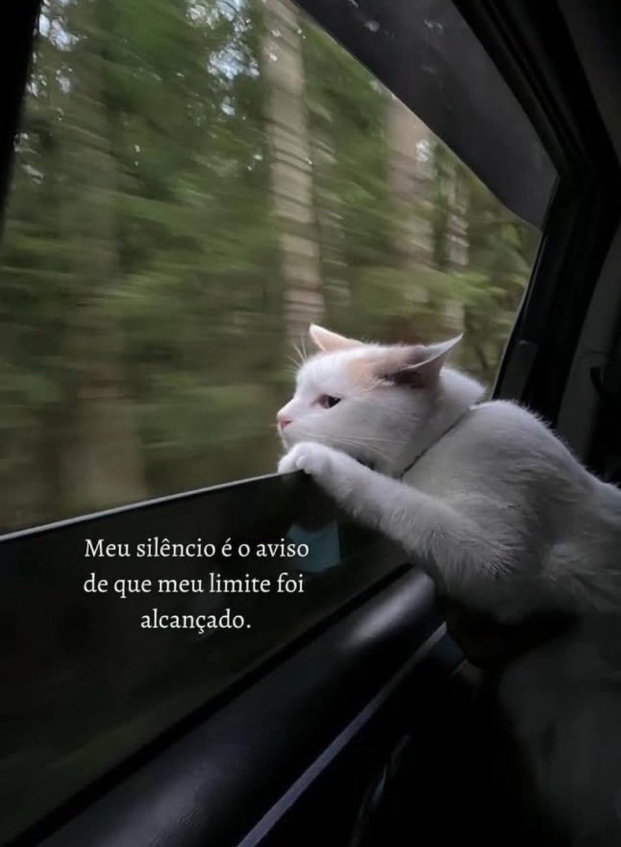 Reescreveram tweet media