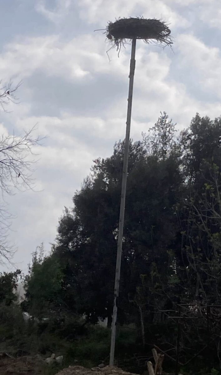 Alper Tüydeş tweet media