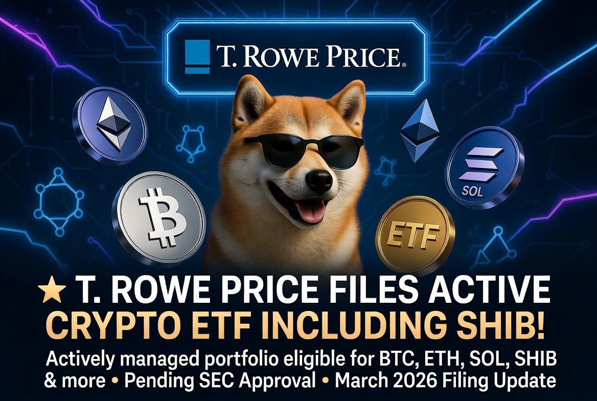 Crypto Why Bother tweet media