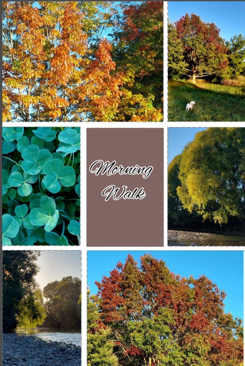 🌱newbrunette tweet media