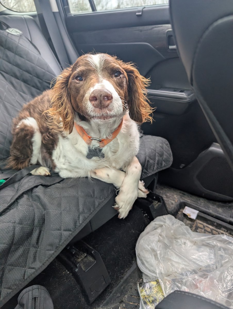 Jon Heron 🇨🇦 tweet media