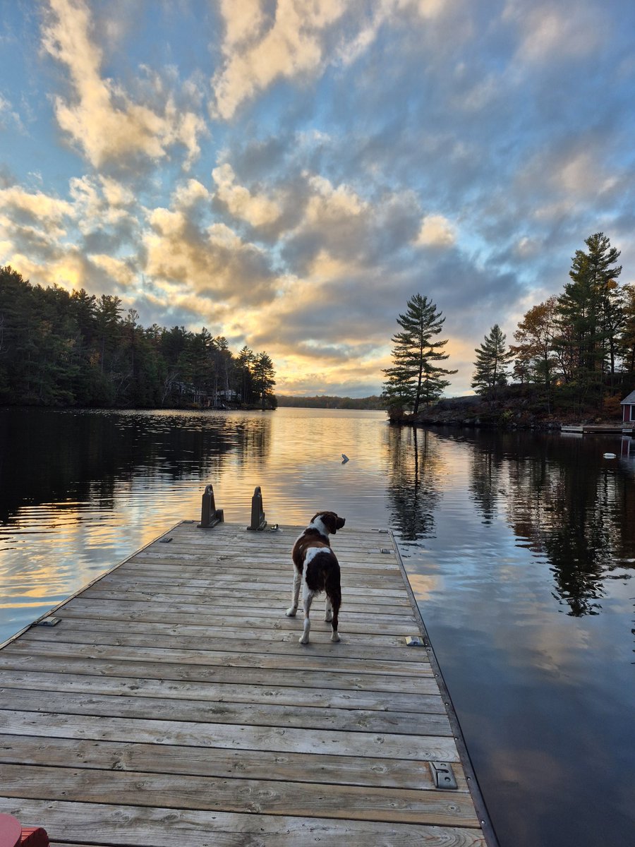 Jon Heron 🇨🇦 tweet media