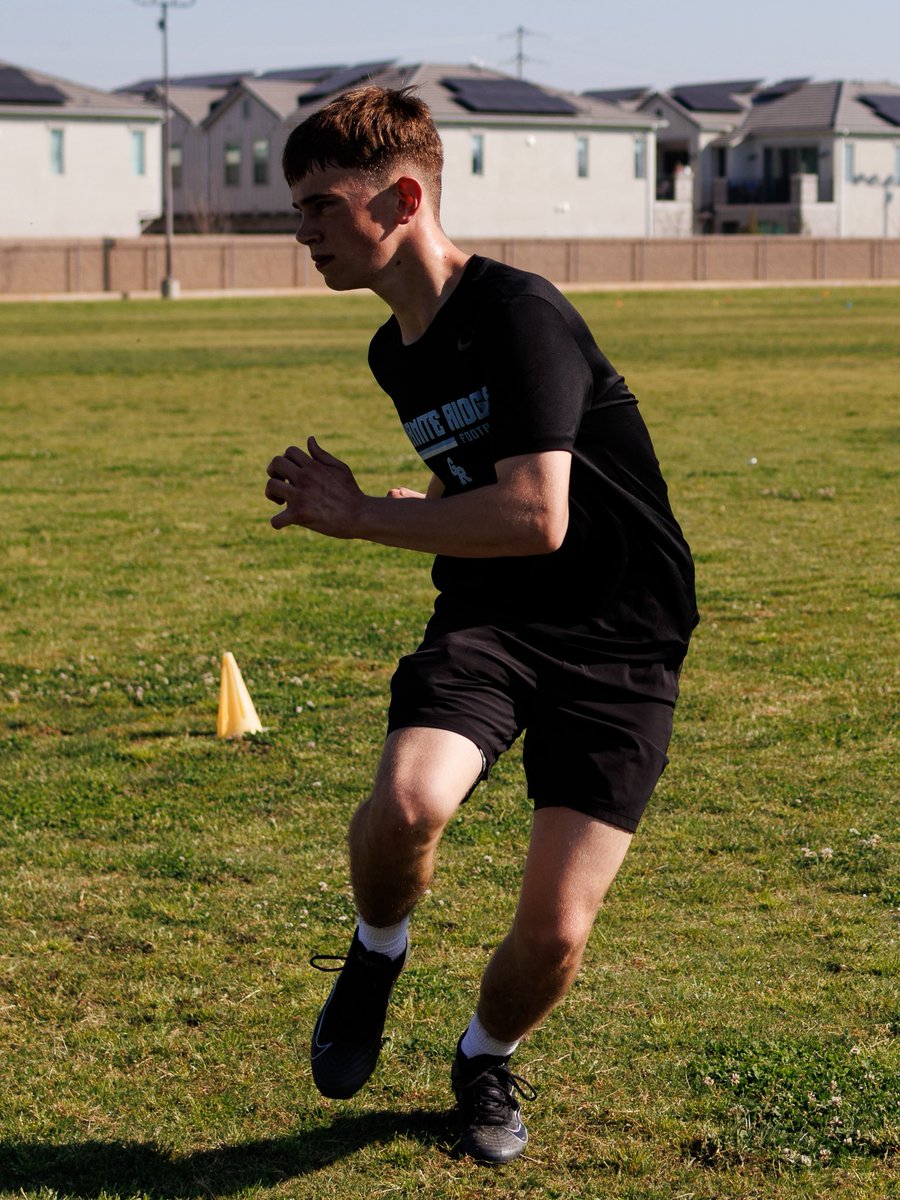 Purpose Field tweet media