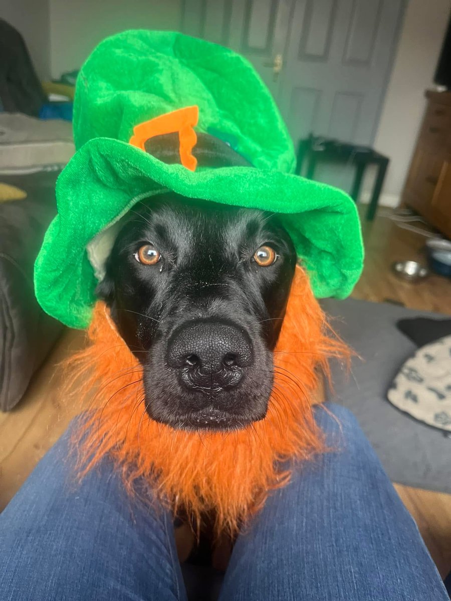 Tracy Forde tweet media