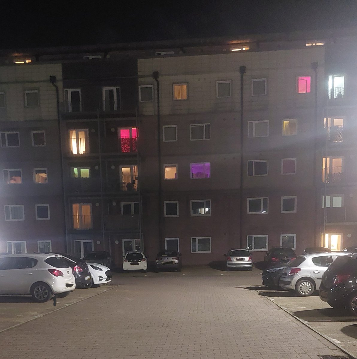 Kay Marie tweet media