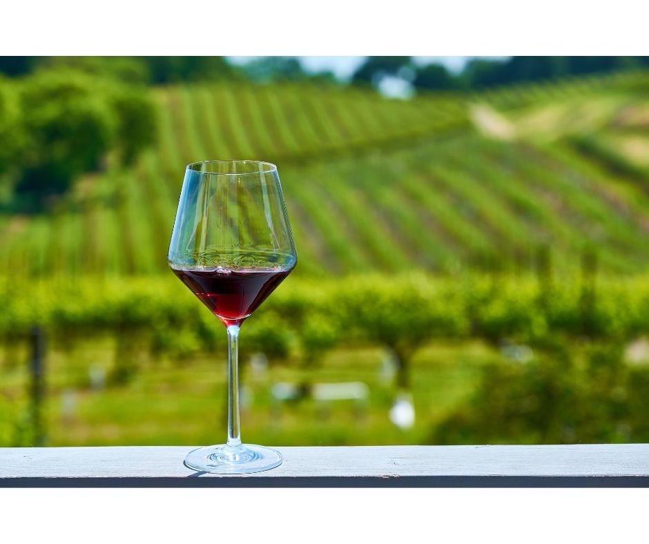 ChiantiMarathon's tweet photo. Degustazione a I Greppi di Silli, Mercatale in Val di Pesa (FI)

💶 Prezzo: 25 € a persona
🏃‍♂️ Sconto Chianti Classico Marathon: -10% → 22,50 €
⚠️ Minimo 15 partecipanti
✉️ Prenotazioni:
info@chianticlassicomarathon.com
📅 entro 3 maggio 2026
Scopri il Chianti con gusto! 🍇🍷 https://t.co/GlP7ID1LEV