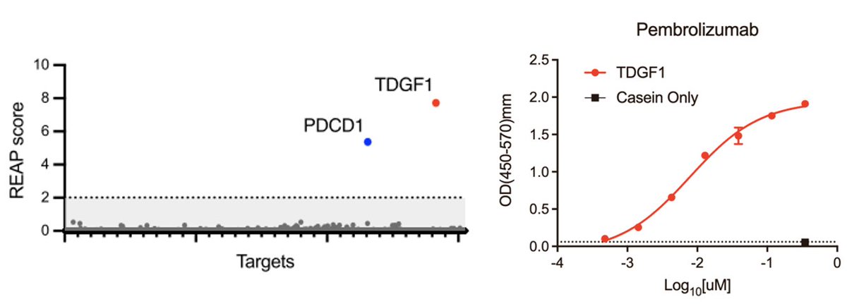 Aaron Ring tweet media