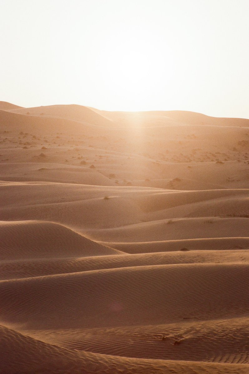 abdul 🌌📷 tweet media