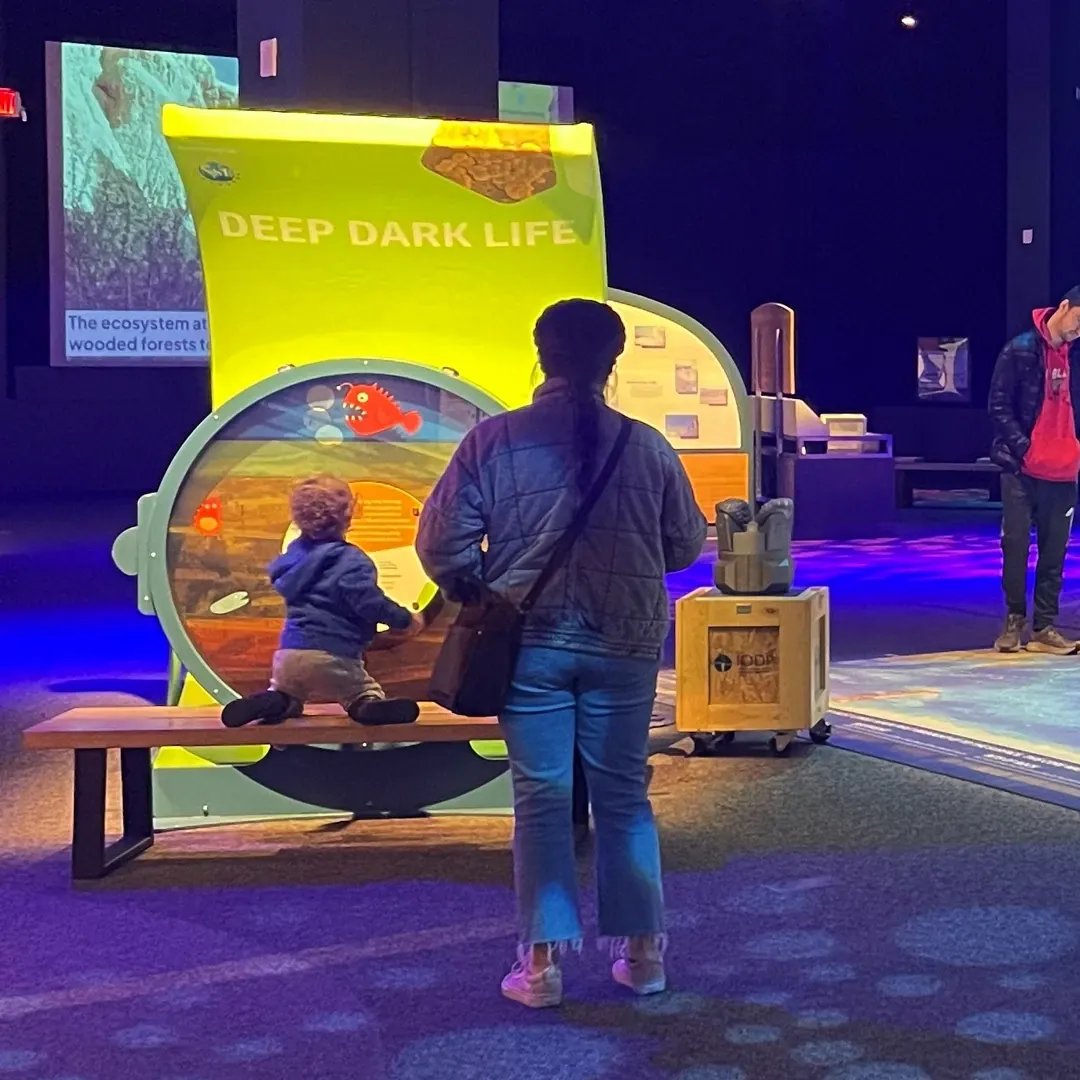 Museum of Science tweet media