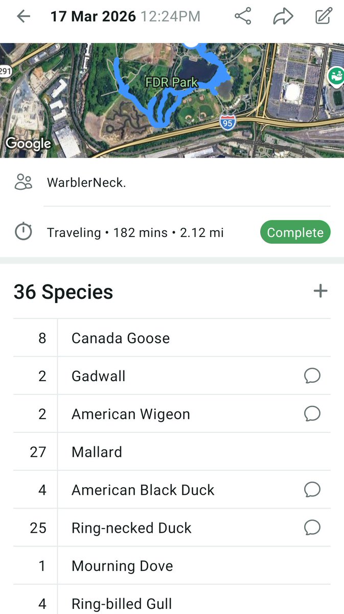 WEIRD DUCK SEASON ENJOYER 🦆 tweet media