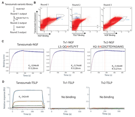 Aaron Ring tweet media