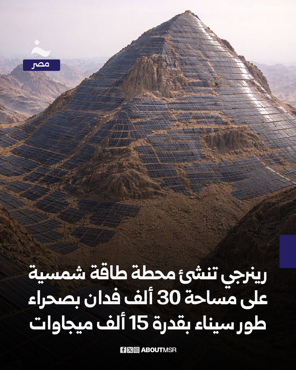 خاص - مصر tweet media