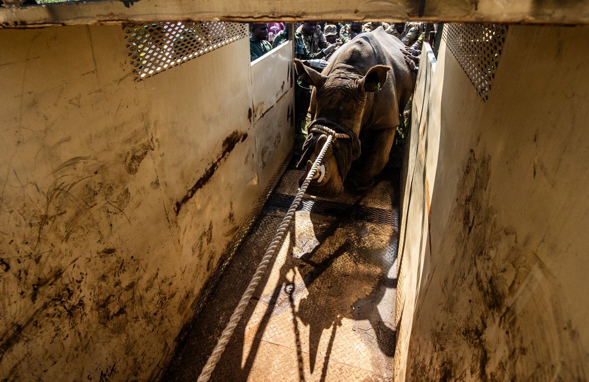 UgandaCF tweet media