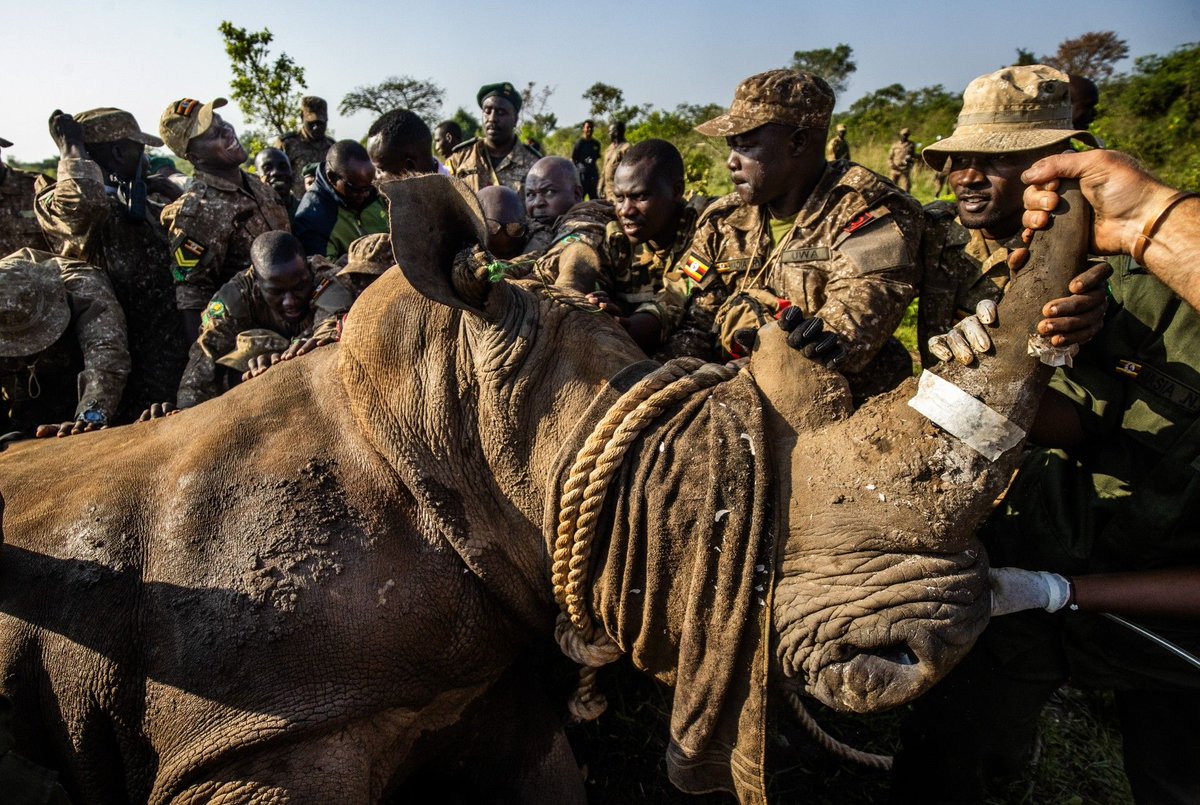 UgandaCF tweet media