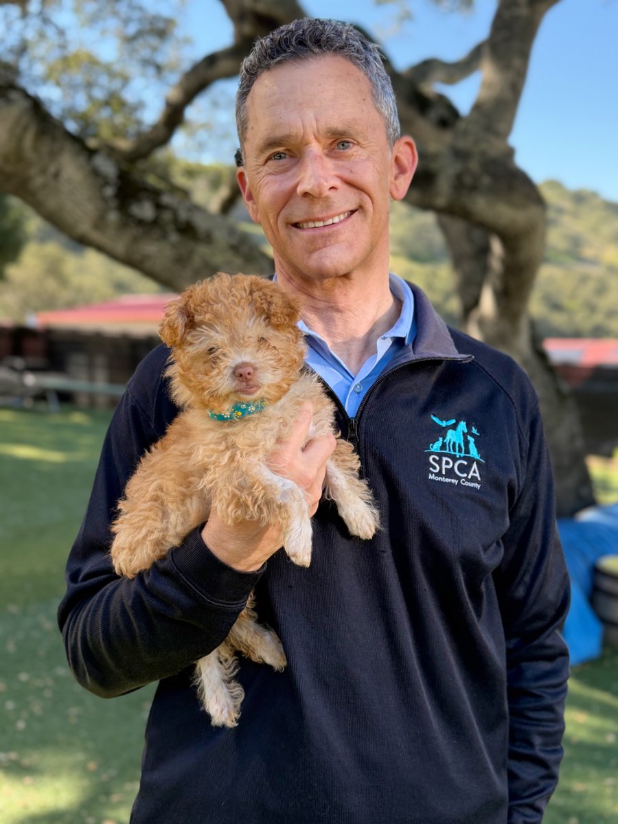 SPCA Monterey County tweet media