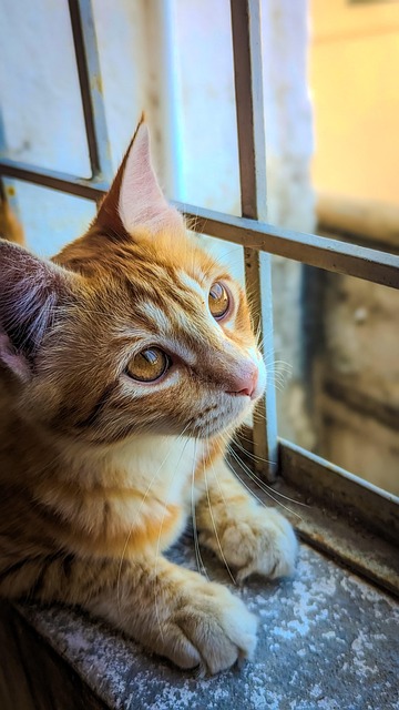 Lori Butler tweet media