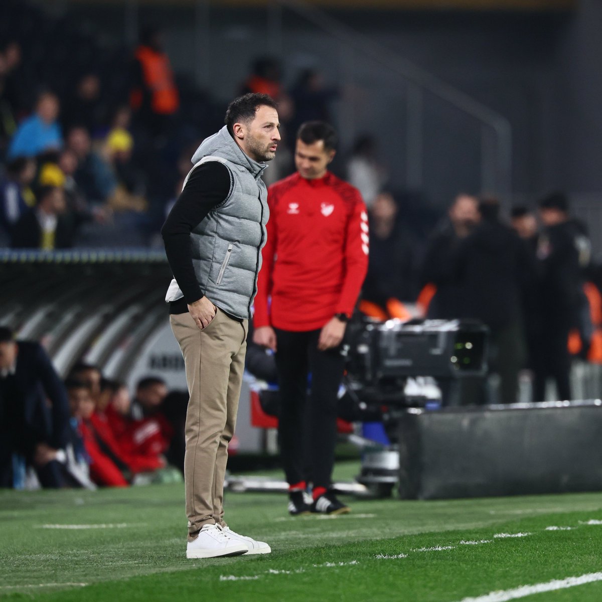 Fenerbahçe SK tweet media