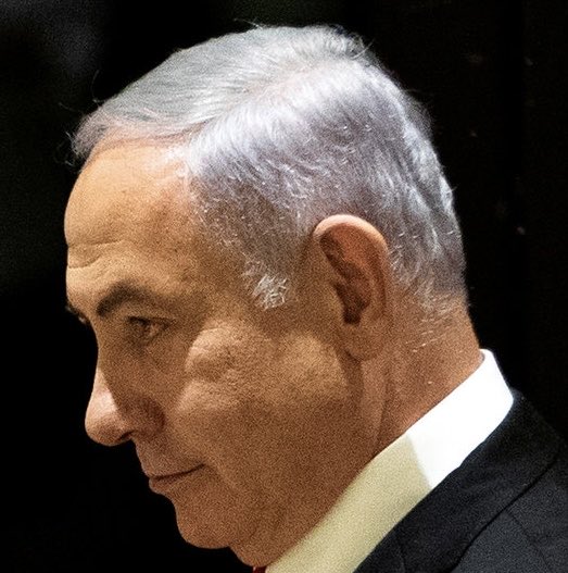 Uncommon Sense tweet media