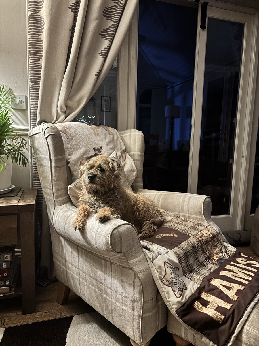 Lord Hamish HRH ⚜️🐶 tweet media