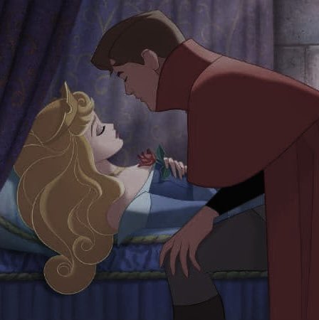 flowergirl ❀ tweet media