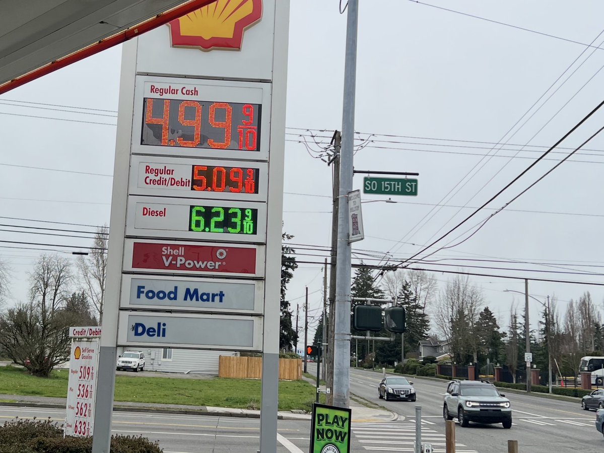 Steve Palec tweet media