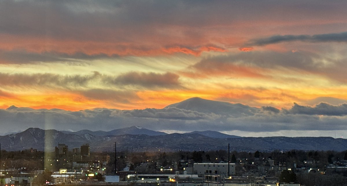 slushy 🍧 tweet media