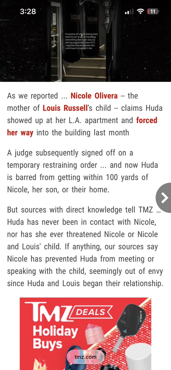 fionapeony tweet media