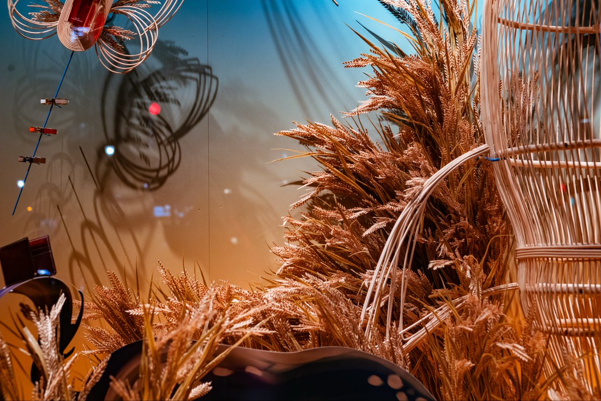 双子のトルシエ➴✰ tweet media