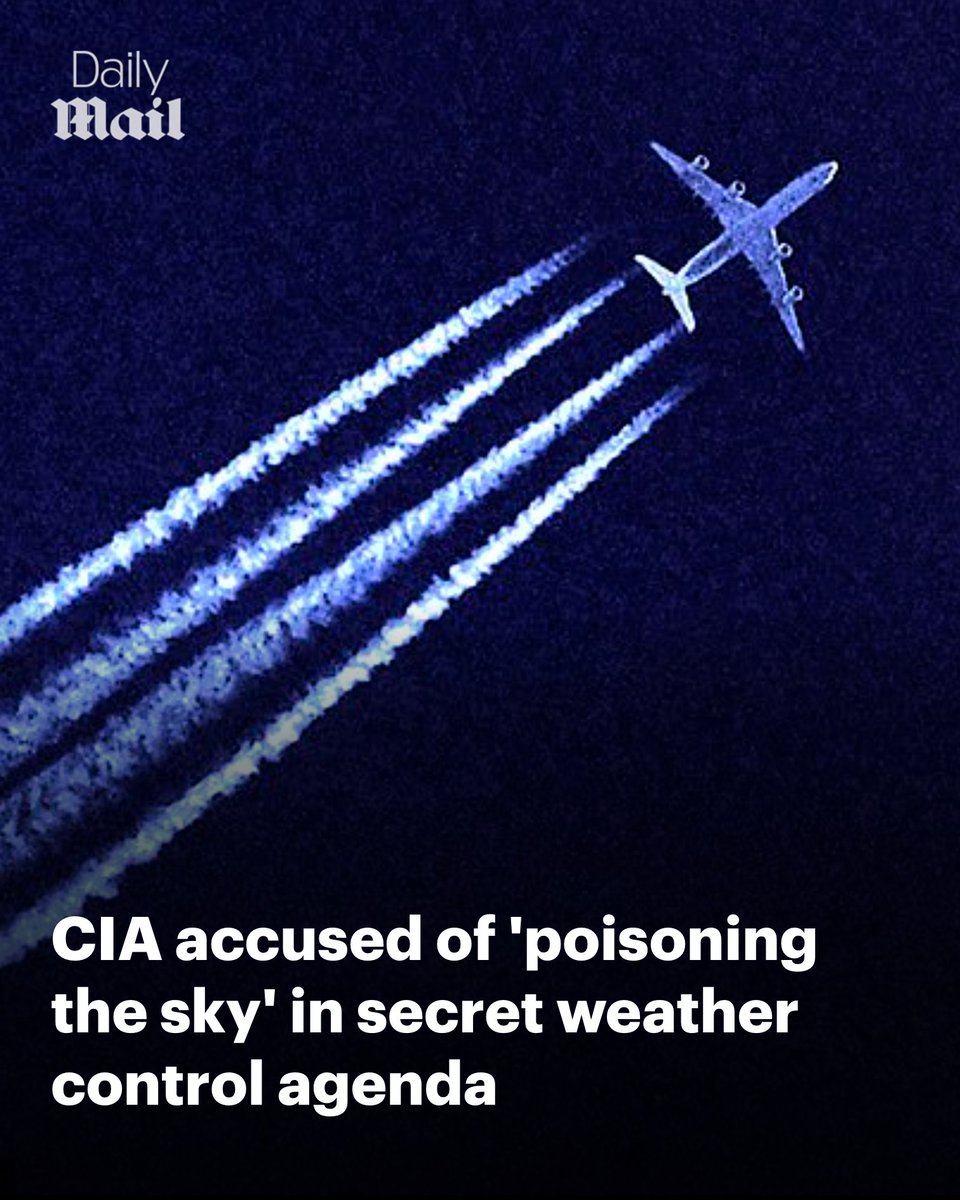 Daily Mail US tweet media