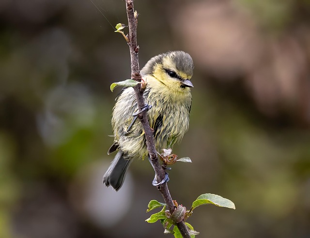 Aria Hanes tweet media