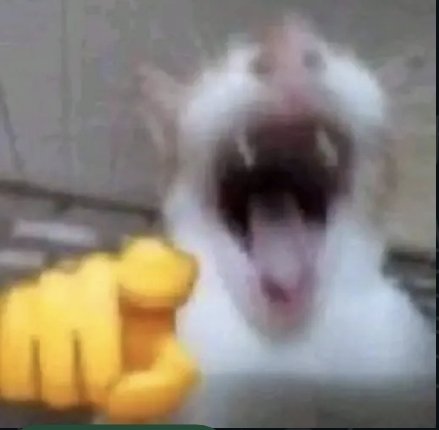 عمر F16 tweet media