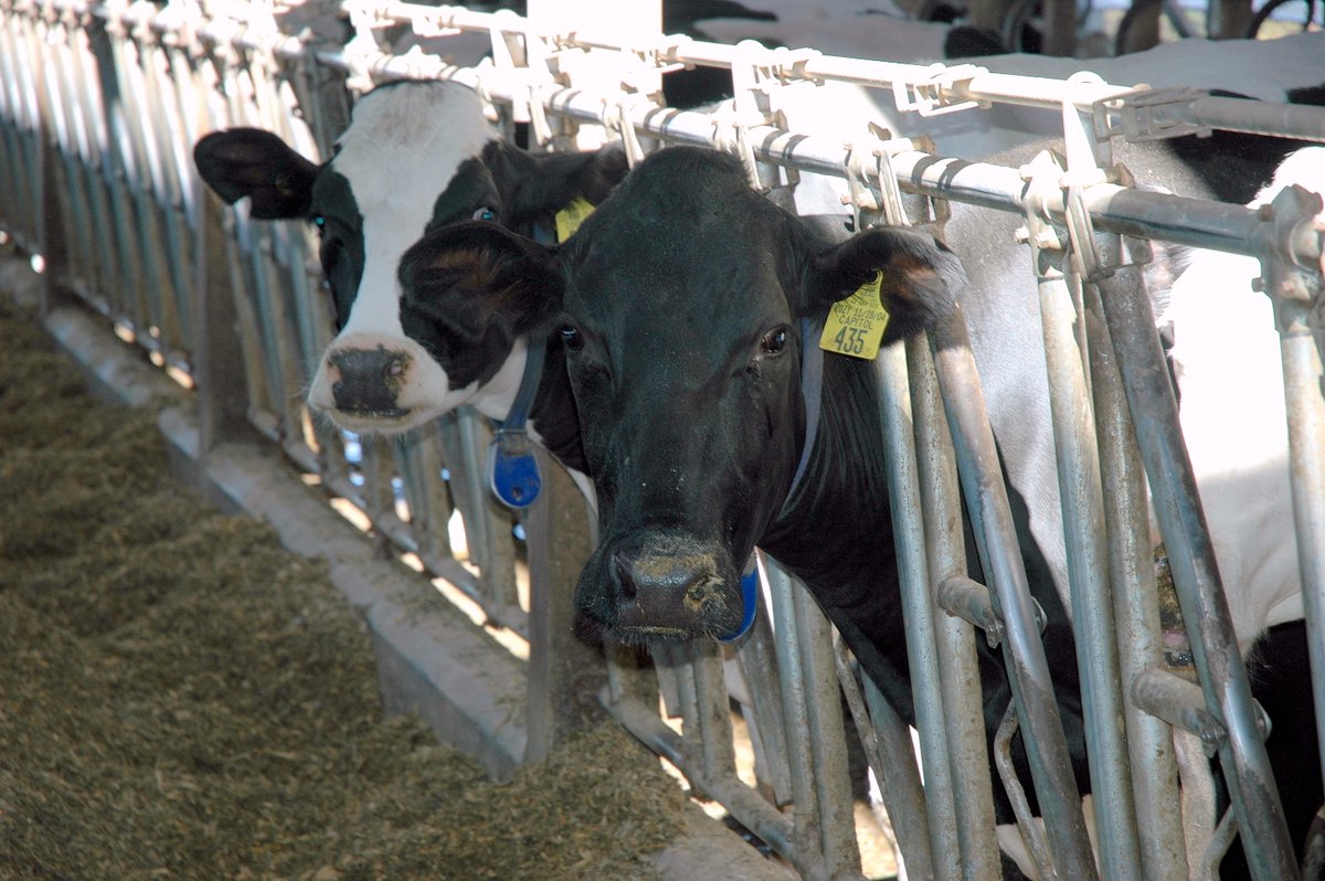 Minnesota Department of Agriculture tweet media