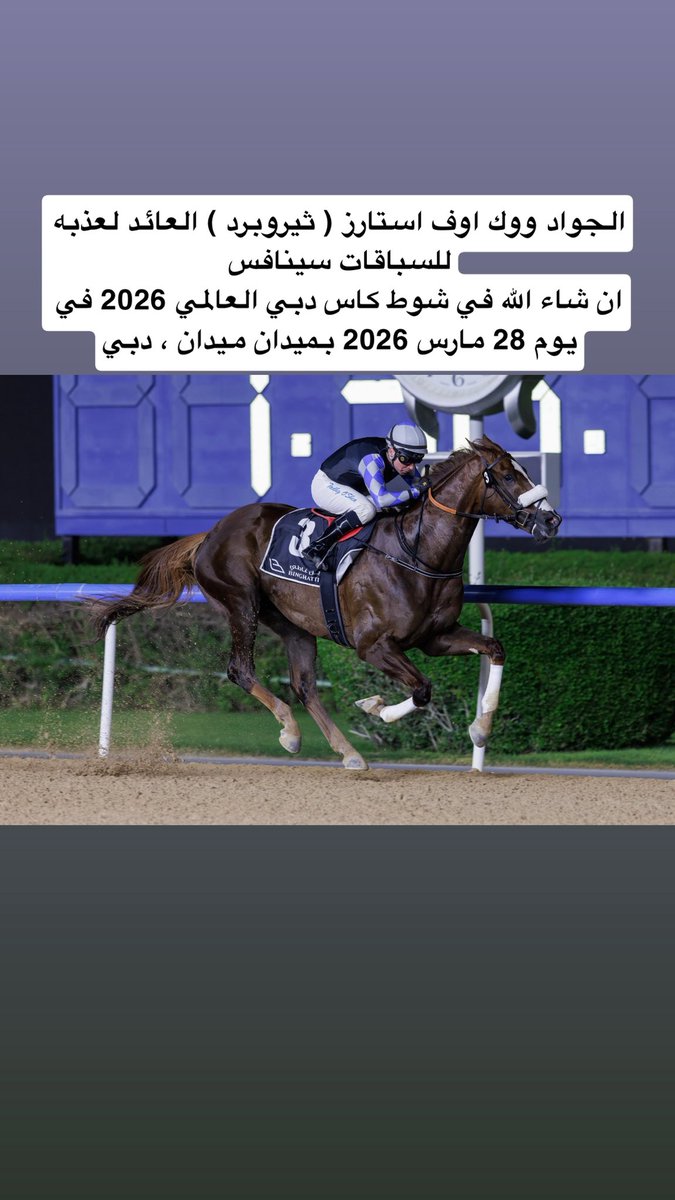 عبدالعزيز بن أحمد tweet media