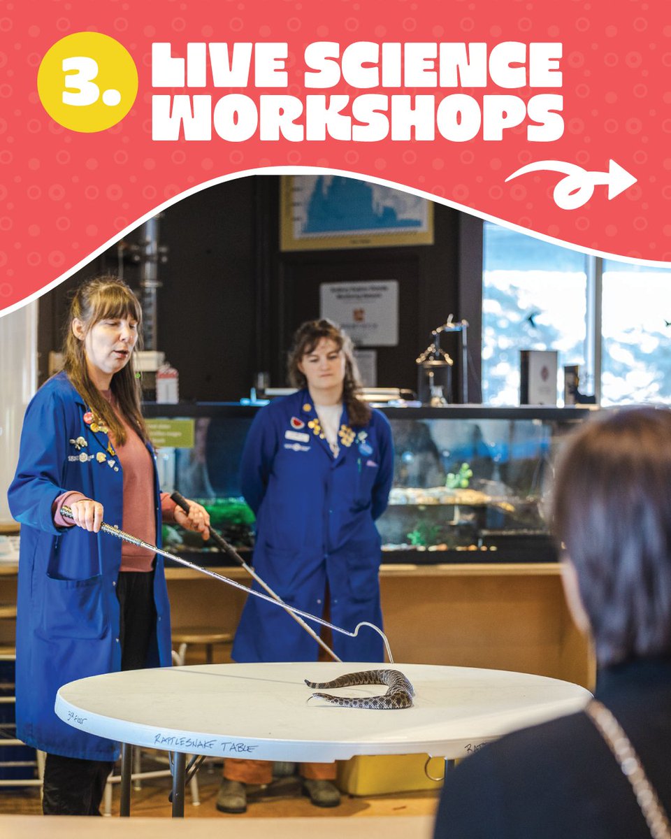 Science North & Dynamic Earth tweet media