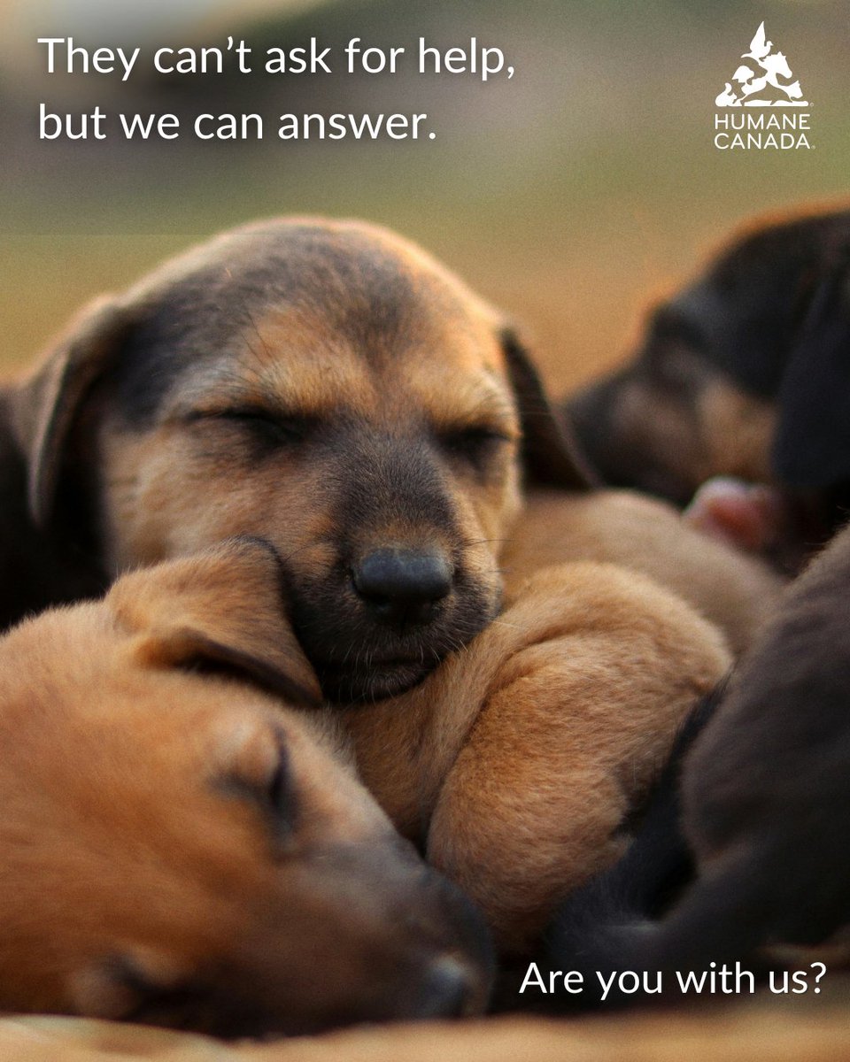 Humane Canada tweet media