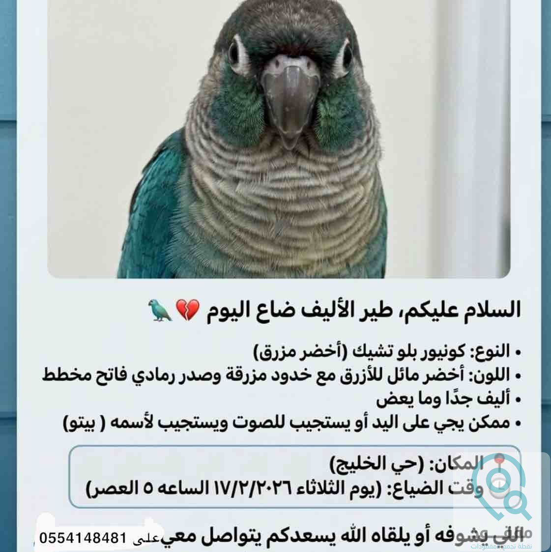 تطبيق مفقود tweet media